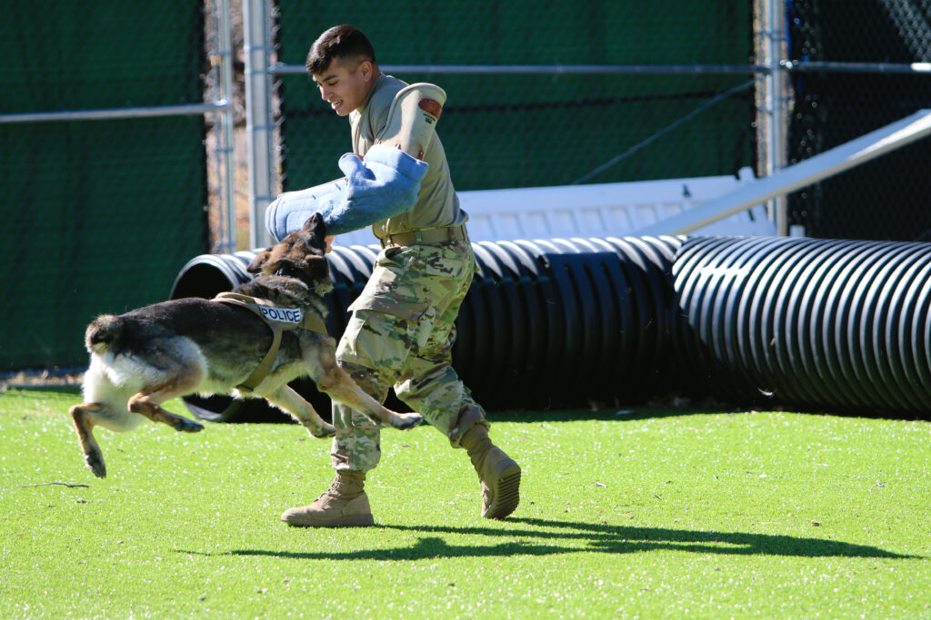 A U.S. Army Soldier and a K9 military working dog train as part of readiness for real-world situations at Fort Huachuca, Arizona, Jan. 25, 2017.
